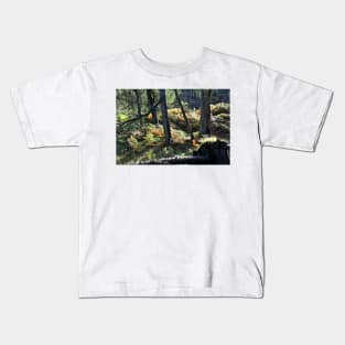 Sunlit highland wood near Loch Eck, Scotland Kids T-Shirt